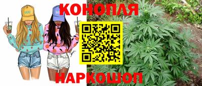 гидра Кулебаки